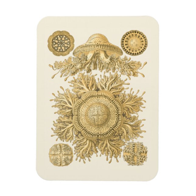 Magnet Flexible Les créatures de la mer d'or (Vertical)