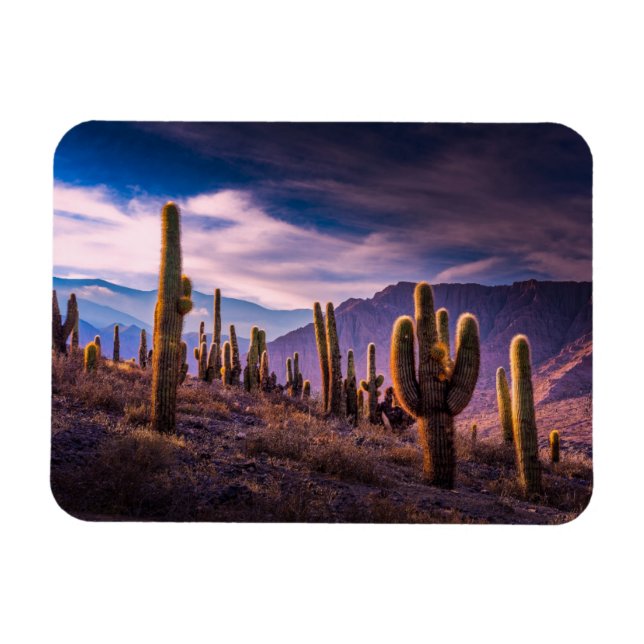 Magnet Flexible Les déserts | Cactus Paysage Argentine (Horizontal)