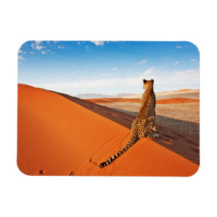 Magnet Flexible Les déserts Désert de Cheetah Savannah