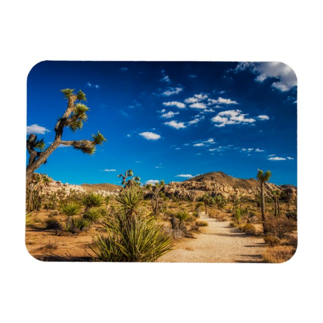 Magnet Flexible Les déserts | Parc national de Joshua Tree (Horizontal)