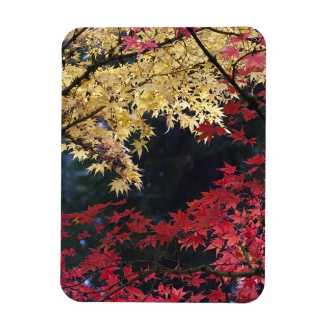 Magnet Flexible Les érables en automne (Vertical)