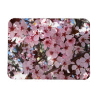 Les fleurs roses sur l'arbre à fleurs ornemental