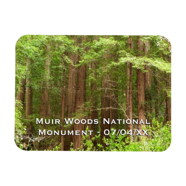 Magnet Flexible Les séquoias au monument national de Muir Woods (Horizontal)