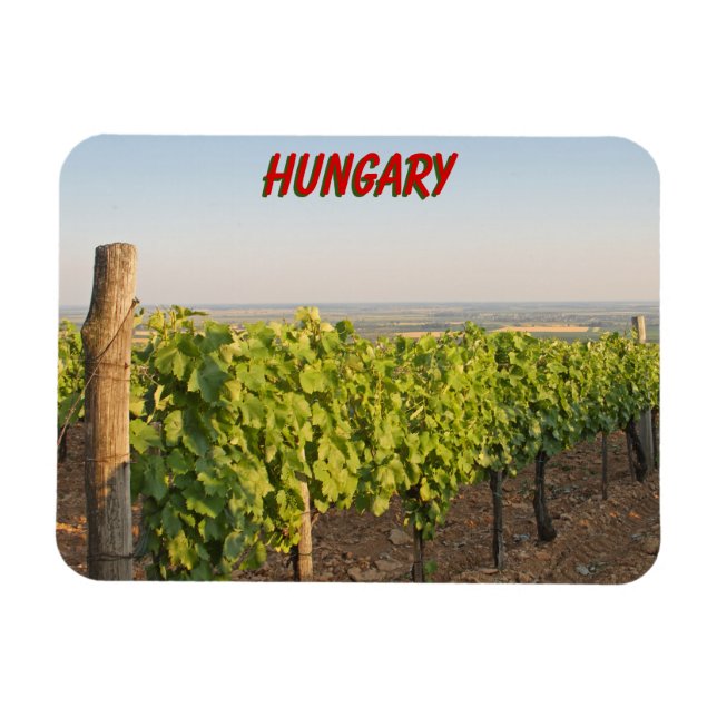 Magnet Flexible Les vignobles de Tokaj, Hongrie (Horizontal)