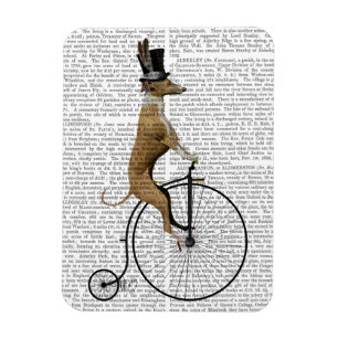 Magnet Flexible Lévrier sur le vélo noir de quart de penny de