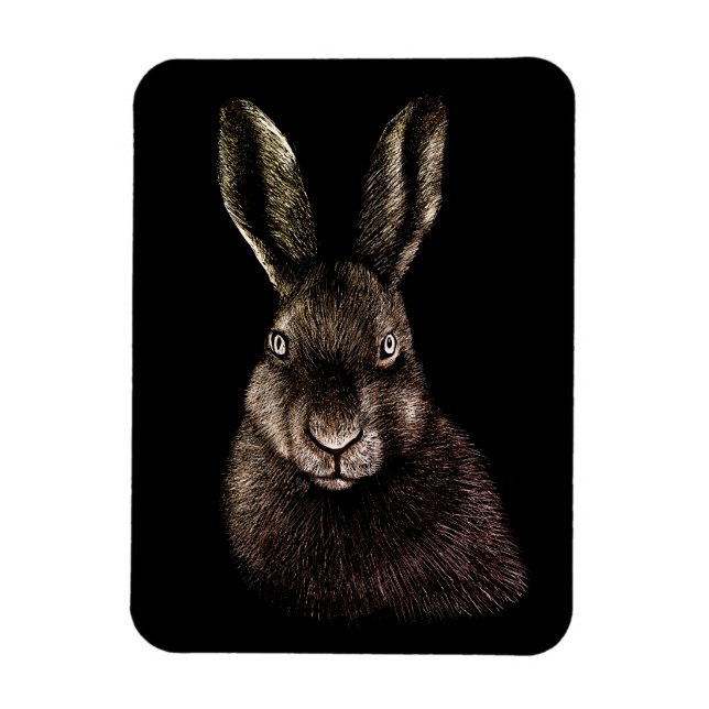 Magnet Flexible Lièvre, lapin, dessin (Vertical)