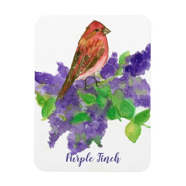 Magnet Flexible Lilacs à Finch violet Aquarelle Fleurs (Vertical)