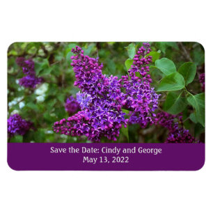 Magnet Flexible Lilacs violets le jour du printemps - Sauvez la da