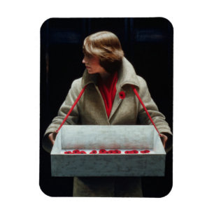 Magnet Flexible Limelight 1979