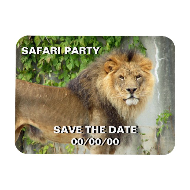 Magnet Flexible Lion à Masai Mara 2 Sauvez la date (Horizontal)