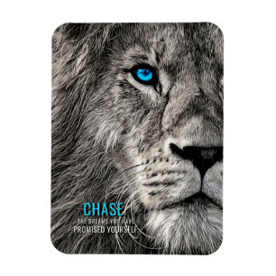 Magnet Flexible Lion Chase tes rêves
