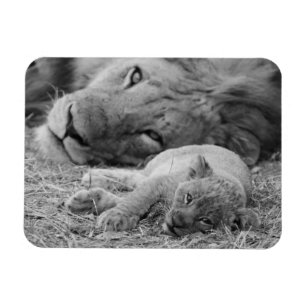 Magnet Flexible Lion CUB mignon dépendant du père