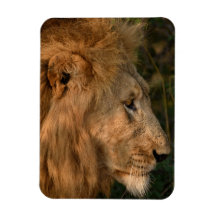 LION Réfrigérateur Aimant VOTRE Modèle photo