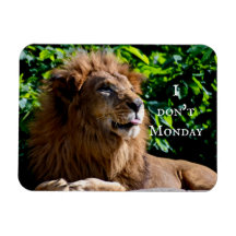 Lion Sticking langue dehors - je ne le lundi