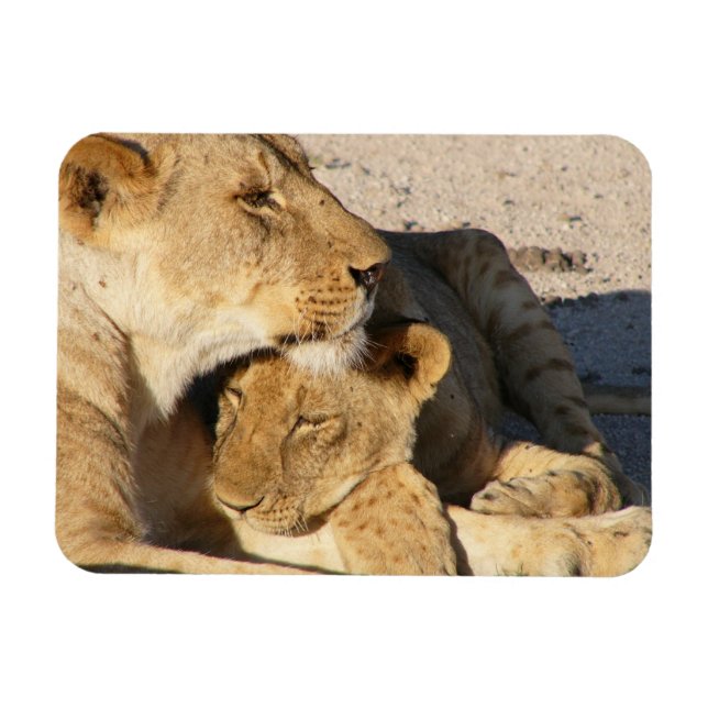 Magnet Flexible Lioness et Cub se reposent ensemble (Horizontal)
