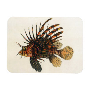 Magnet Flexible Lionfish Poisson, Vieille Marine Vie Océanique Ani