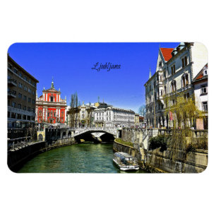 Magnet Flexible Ljubljana, Slovénie