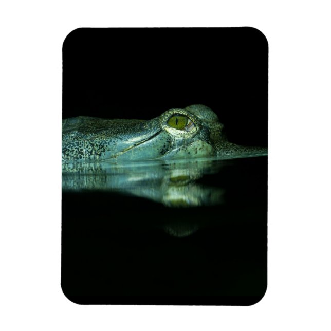 Magnet Flexible L'Oeil Du Gharial (Vertical)
