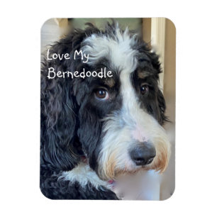 Magnet Flexible Love My Bernedoodle