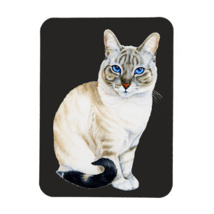Magnet Flexible Lynx Point Siamese Chat