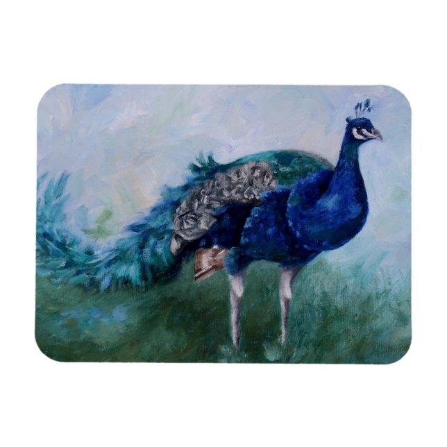Magnet Flexible M. Peacock (Horizontal)