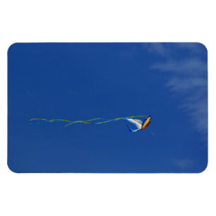 Magnet Flexible Macaw Kite