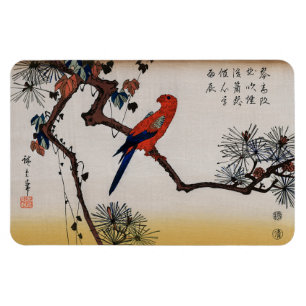 Magnet Flexible Macaw sur une branche de pin, Hiroshige
