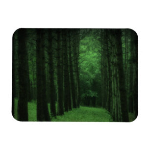 Magnet Flexible Magazine Premium Forêt enchantée