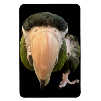 Magnet Flexible magie beakysnooter aimant