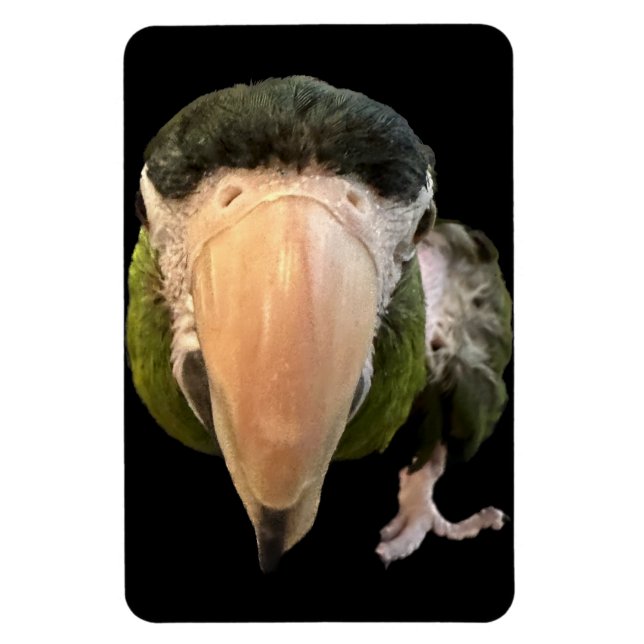 Magnet Flexible magie beakysnooter aimant (Vertical)