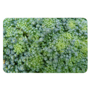 Magnet Flexible Magnat Broccoli Macro Premium