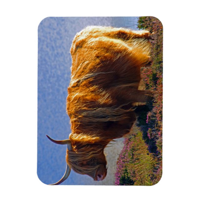 Magnet Flexible Magnat de vache Highland (Vertical)