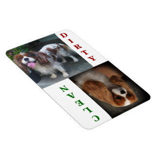 Magnet Flexible Magnat du lave-vaisselle Cavalier King Charles Sca