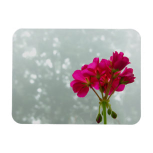 Magnet Flexible Magnat photo en géranium rose