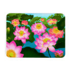 Magnat Premium du Jardin d'Eau Lotus Est