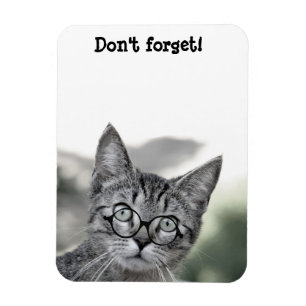 Magnet Flexible Magnét aimanté de chat surpris mignon avec des lun
