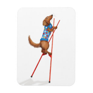 Magnet Flexible Magnétique dachshund mignon marchant sur des échas
