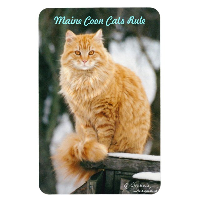 Magnet Flexible Maine chat coon Aimant flexible (Vertical)