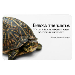 Magnet Flexible Makes Progress