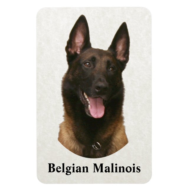 Magnet Flexible malinois belge (Vertical)