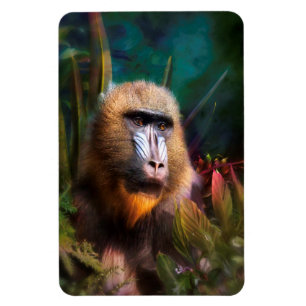 Magnet Flexible Mandril Baboon MASK DANS LA JUNGLE