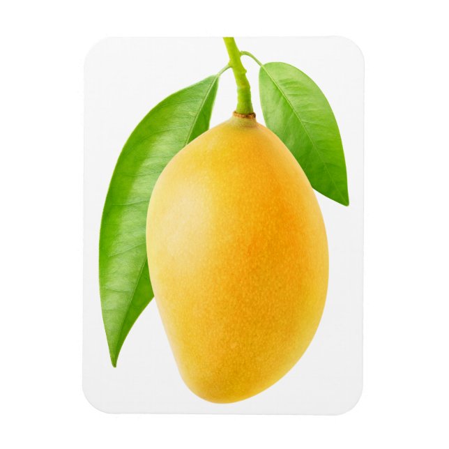 Magnet Flexible mangue jaune (Vertical)