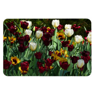 Magnet Flexible Maroon et Tulipes Jaunes Florales colorées