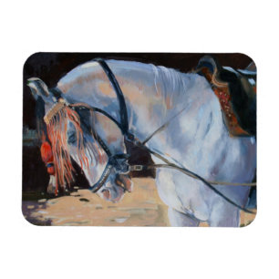 Magnet Flexible Marwari Horse Rajasthan 2010