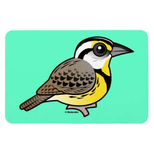 Magnet Flexible Meadowlark orientale