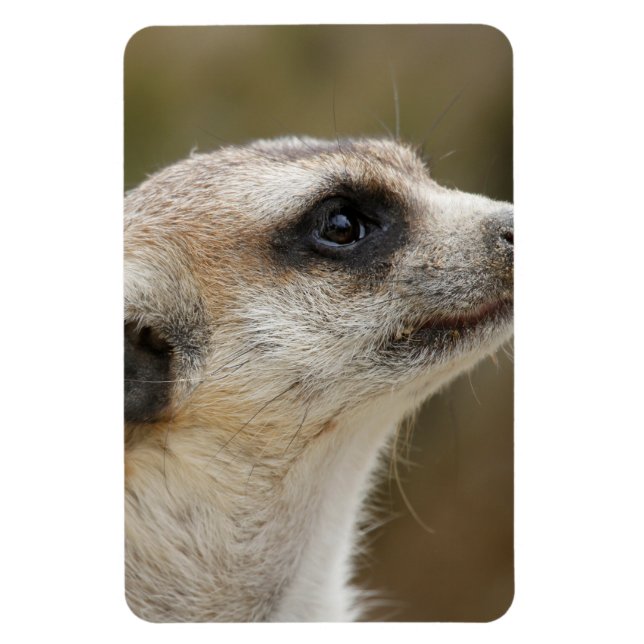 Magnet Flexible Meerkat 028 (Vertical)