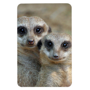 Magnet Flexible Meerkat 085