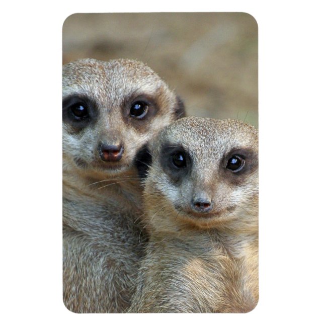 Magnet Flexible Meerkat 085 (Vertical)
