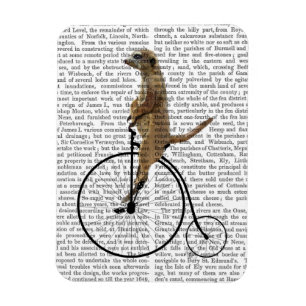 Magnet Flexible Meerkat sur le quart de penny noir de penny
