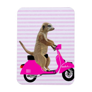 Magnet Flexible Meerkat sur le rose a broyé du noir 2
